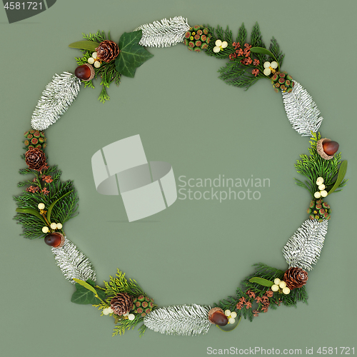 Image of Natural Winter Wreath