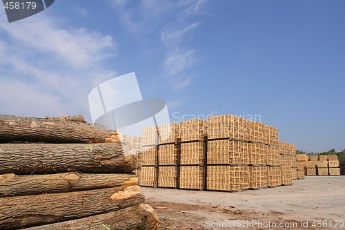 Image of Wooden packing crates production