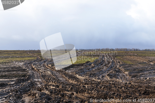 Image of road in a field