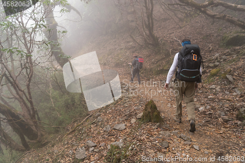 Image of Backpakers in Nepal jungle trek