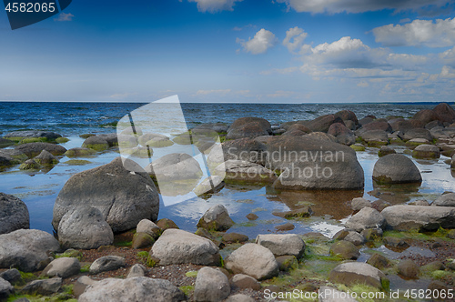 Image of Baltic sea coast in summer vacation