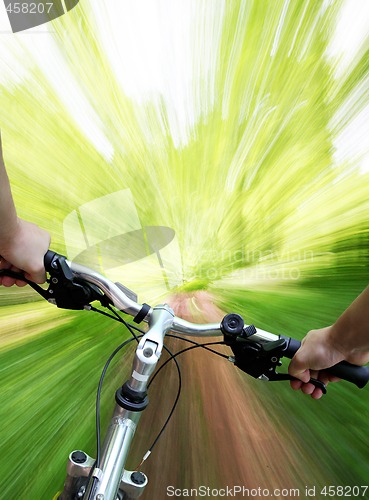 Image of Mountain biking in the forest