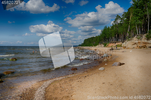 Image of Baltic sea coast in summer vacation