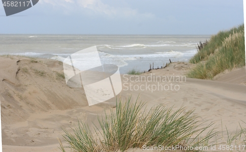 Image of Dunes