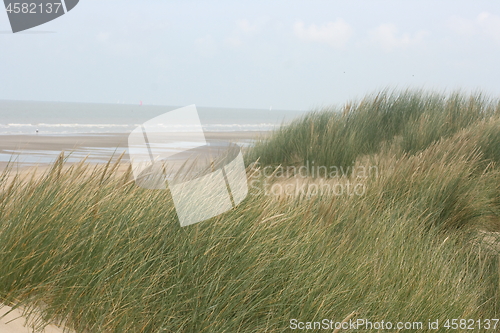 Image of dune,