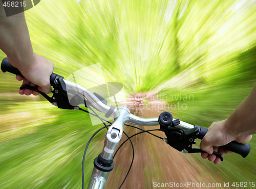 Image of Mountain biking in the forest