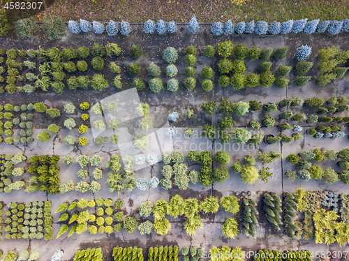 Image of Bird eyes view from drone above garden center.