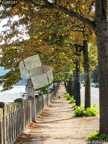 Image of Stone riverfront with autumn trees in the city.