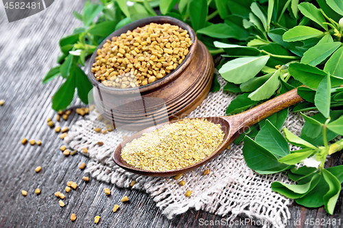 Image of Fenugreek in spoon and bowl with green leaves on table