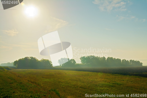 Image of Morning landscape with fog