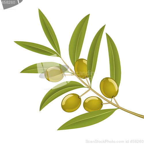 Image of Olive branch