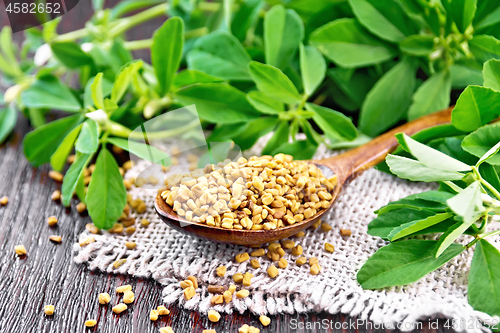 Image of Fenugreek in spoon with leaves on dark board