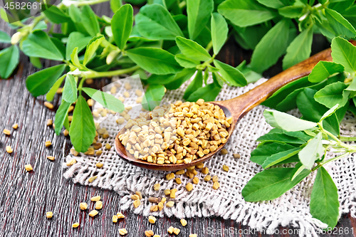 Image of Fenugreek in spoon with leaves on wooden board