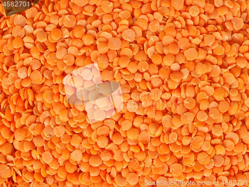 Image of Lens beans macro