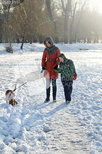 Image of Boy His Mother And Dog