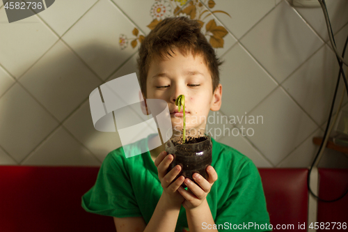 Image of Boy with chickenpox grow plant