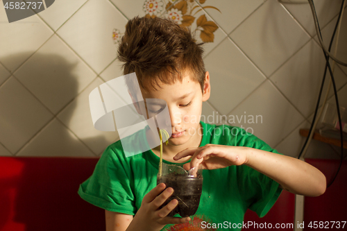 Image of Boy with chickenpox grow plant