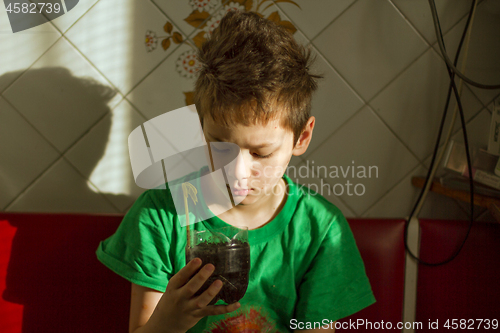 Image of Boy with chickenpox grow plant