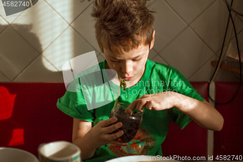 Image of Boy with chickenpox grow plant