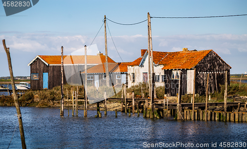 Image of La Tremblade, Oyster farming in France