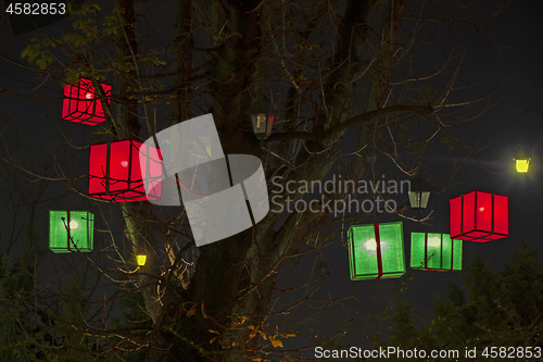 Image of Paper lanterns on a trees as beautiful decoration