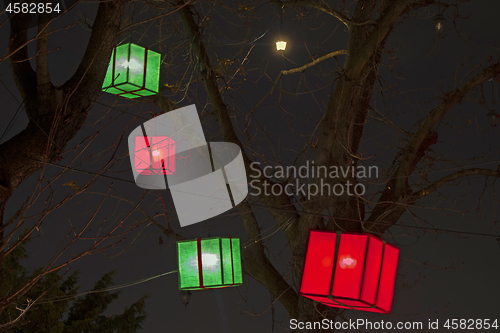 Image of Paper lanterns on a trees as beautiful decoration