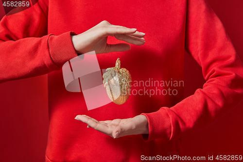 Image of Hands are hanging golden acorn.
