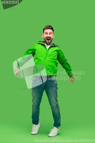 Image of handsome bearded young man looking at camera isolated on green