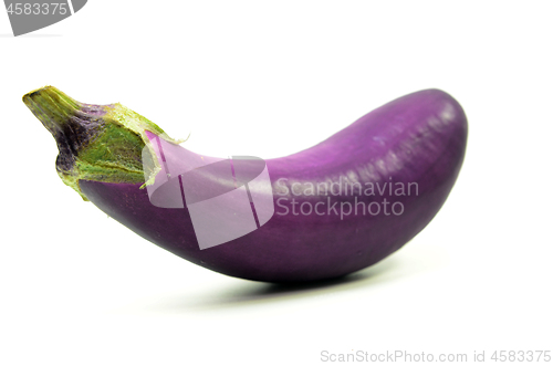 Image of Eggplant or aubergine isolated