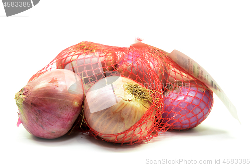 Image of Pack of red onions isolated