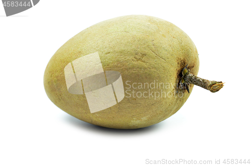 Image of Fresh sapodilla tropical fruit