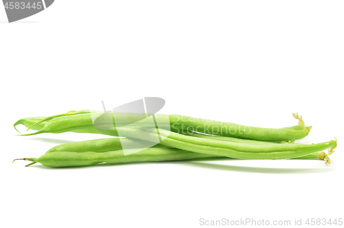 Image of Green french beans isolated