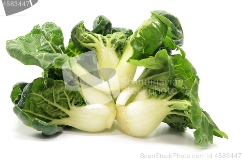 Image of Milk cabbage bok choy