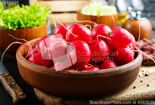 Image of fresh radish