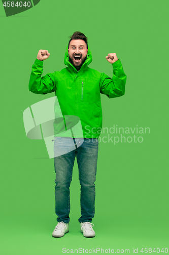 Image of handsome bearded young man looking at camera isolated on green
