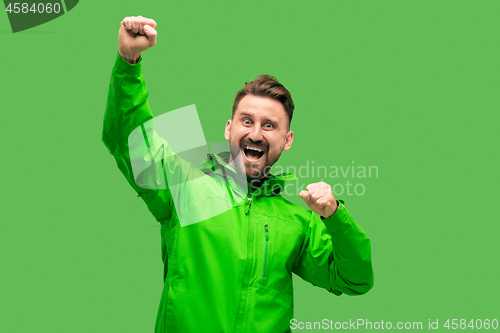 Image of handsome bearded young man looking at camera isolated on green