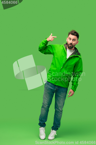 Image of handsome bearded young man isolated on green