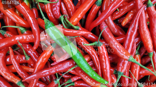 Image of Outstanding green pepper