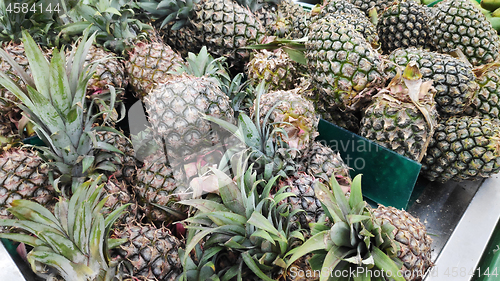 Image of Group of fresh of pineapple
