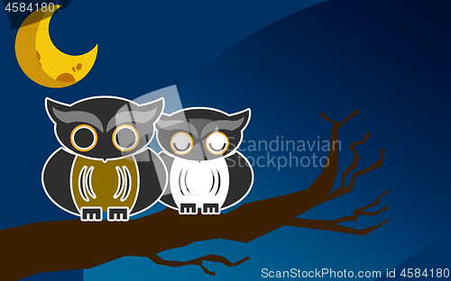 Image of Owls on a brunch at night