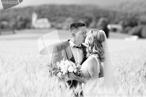 Image of Bride and groom kissing and hugging tenderly in wheat field somewhere in Slovenian countryside.