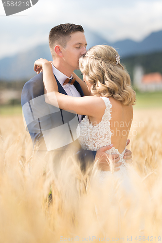 Image of Groom hugging bride tenderly and kisses her on forehead in wheat field somewhere in Slovenian countryside.