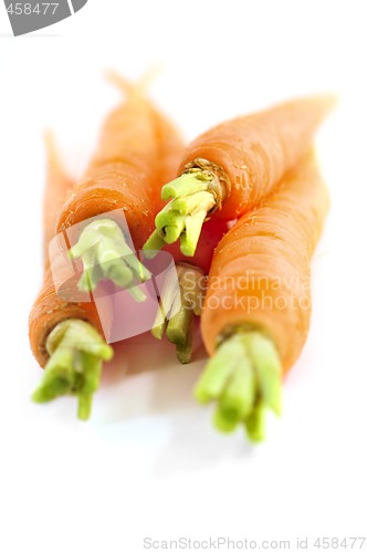 Image of Carrots