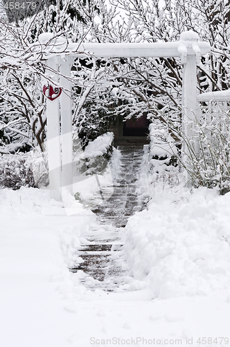 Image of Winter garden