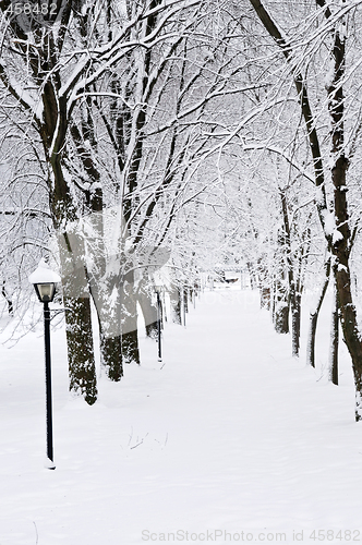 Image of Lane in winter park