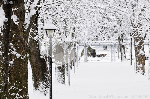 Image of Lane in winter park