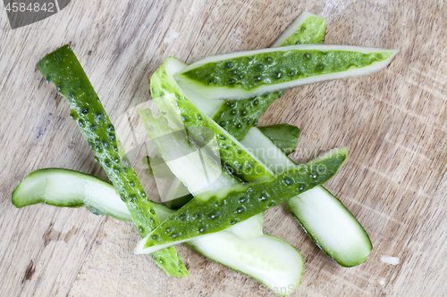 Image of Bark from cucumber.