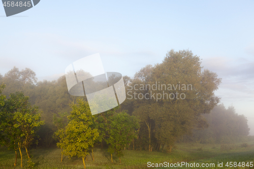 Image of Fog mist landscape