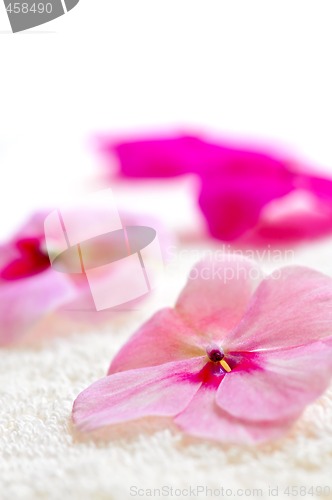 Image of Gentle flower on luxury towel