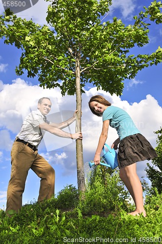 Image of Planting a tree